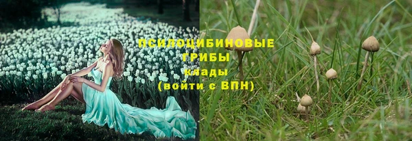 кокаин колумбия Алзамай