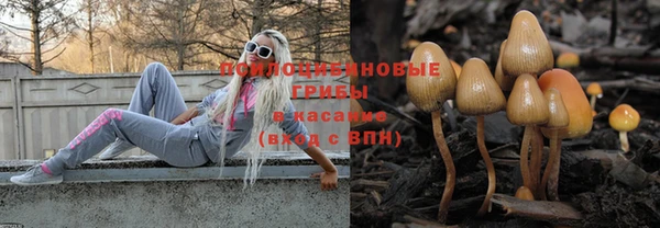 индика Алексеевка